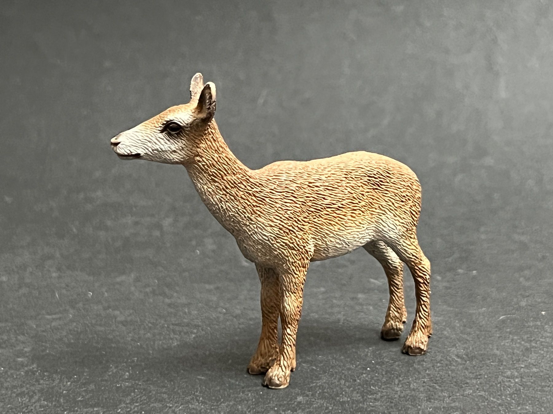 Schleich Statuette: Schleich Rothirsch Hirsch Kuh – Usato da Ennetbaden venduto da mapa05 6