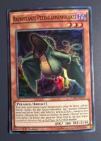 Raubpflanze Pterakanne, FUEN, Super Rare, 1. Auflage, Yugioh