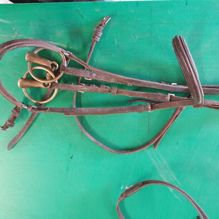 zaum Kaufen auf Ricardo