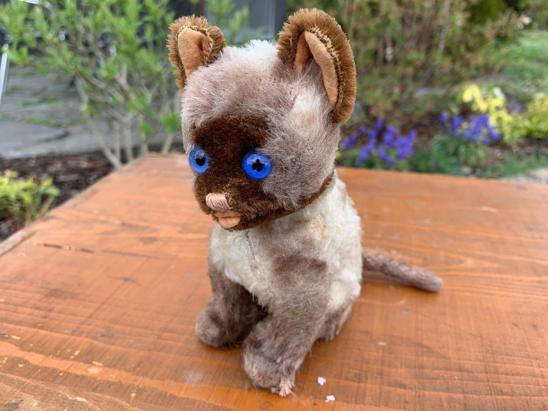 Steiff Giocattoli: seltene Steiff Siamy Siamesen Katze – Usato da Feldbach venduto da Olive1