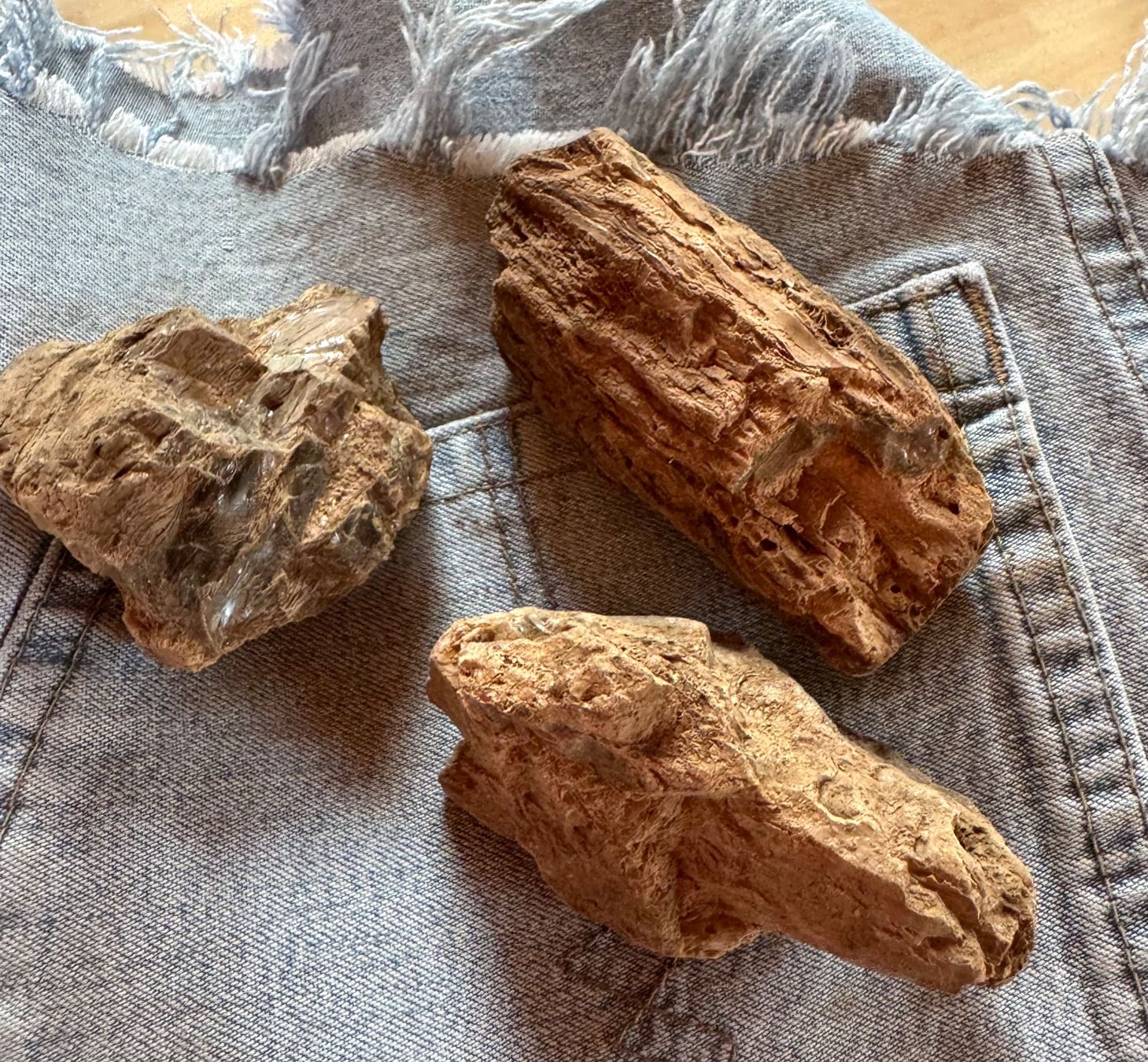 Fossilien: Bernstein  Amber   grosse Brocken    AMBER  aus Sumatra – Neu und originalverpackt aus Leuggern von gemshow 4