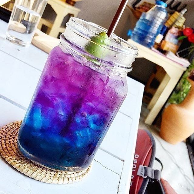 Piante & sementi: Clitoria ternatea ! Thé Bleu ! 3g – Nuovo (secondo la descrizione) da Bremblens venduto da FIBONACCI369