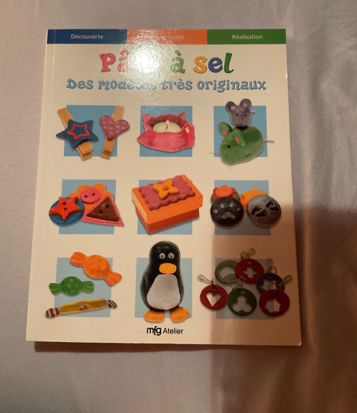 Bücher: Livre pâte à sel, Neuf – Neu und originalverpackt aus Icogne von luna.16 1