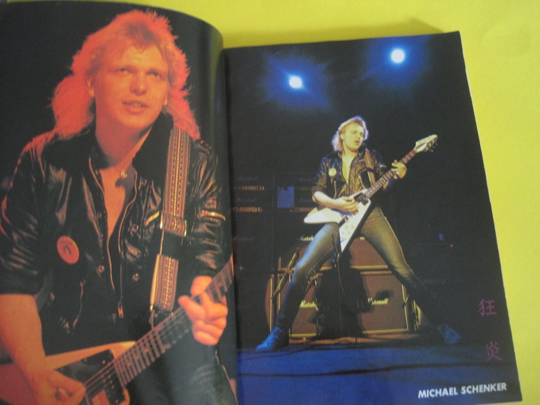 Libri: Viva Rock Blackmore Deep Purple MSG 1981 – Usato da Gossau SG venduto da Noryflory 3