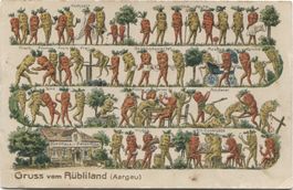 Rüeblikarte Aargau 1910 "Gasthaus zur Fidelen Rübe"