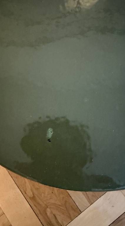 Hocker: Zara home keramik hocker – Gebraucht aus Dübendorf von rocki07 2