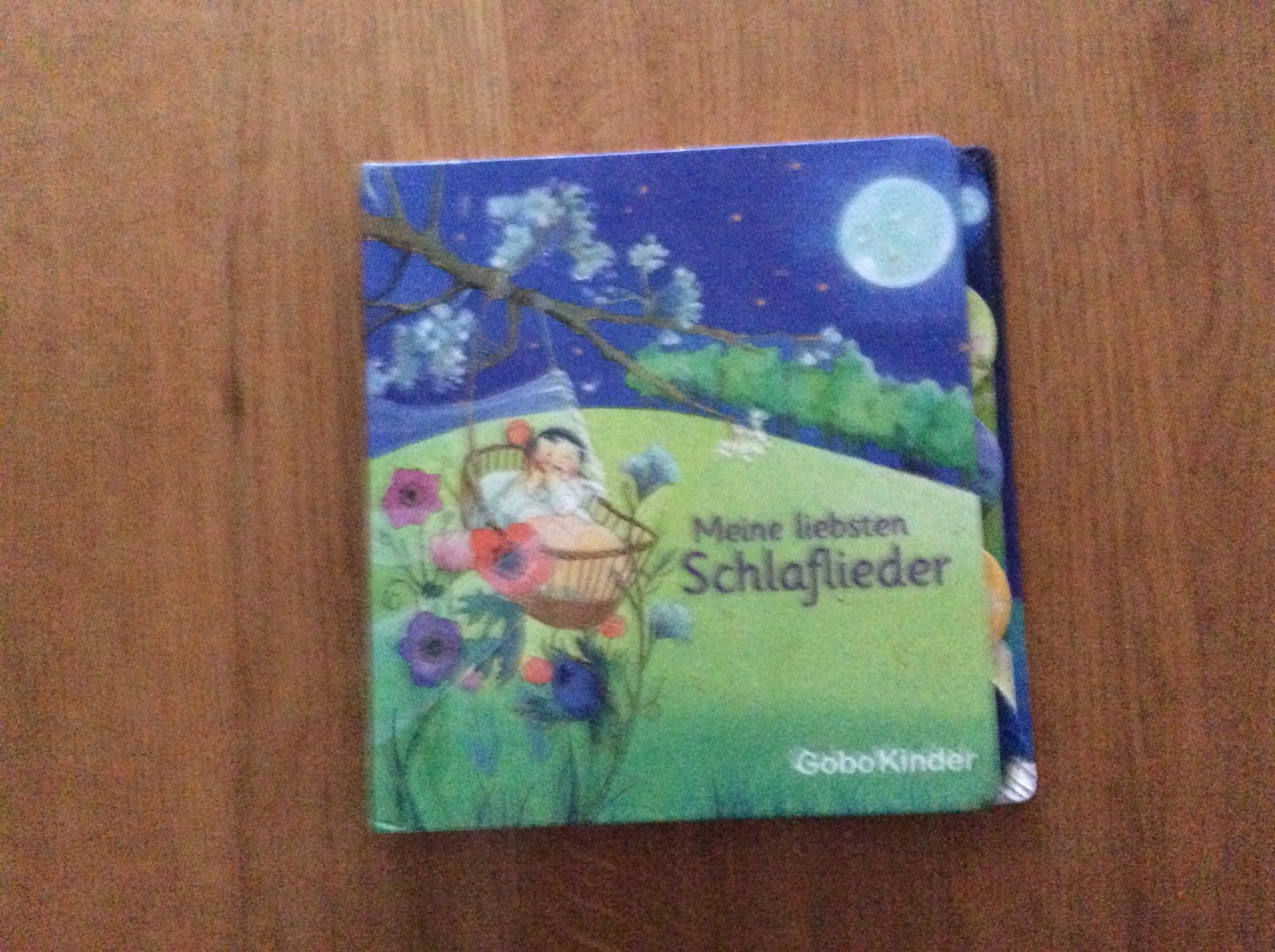 Libri: Meine liebsten Schlaflieder – Usato da Wetzikon ZH venduto da Laube02