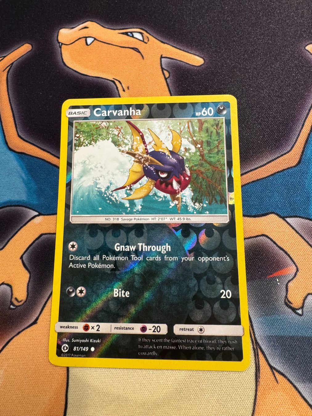 Pokémon Carte collezionabili: Carvanha (SUM 81) - Reverse Holo - Sun & Moon – Nuovo (secondo la descrizione) da Bülach venduto da Pfrenzel