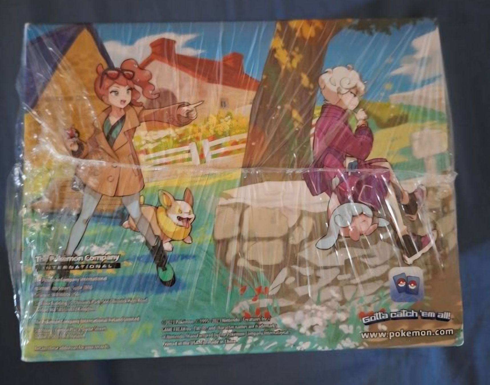 Pokémon Carte collezionabili: EN Crown Zenith: Mini Tin Display – Nuovo (secondo la descrizione) da Villars-le-Terroir venduto da kar_f7xy 2