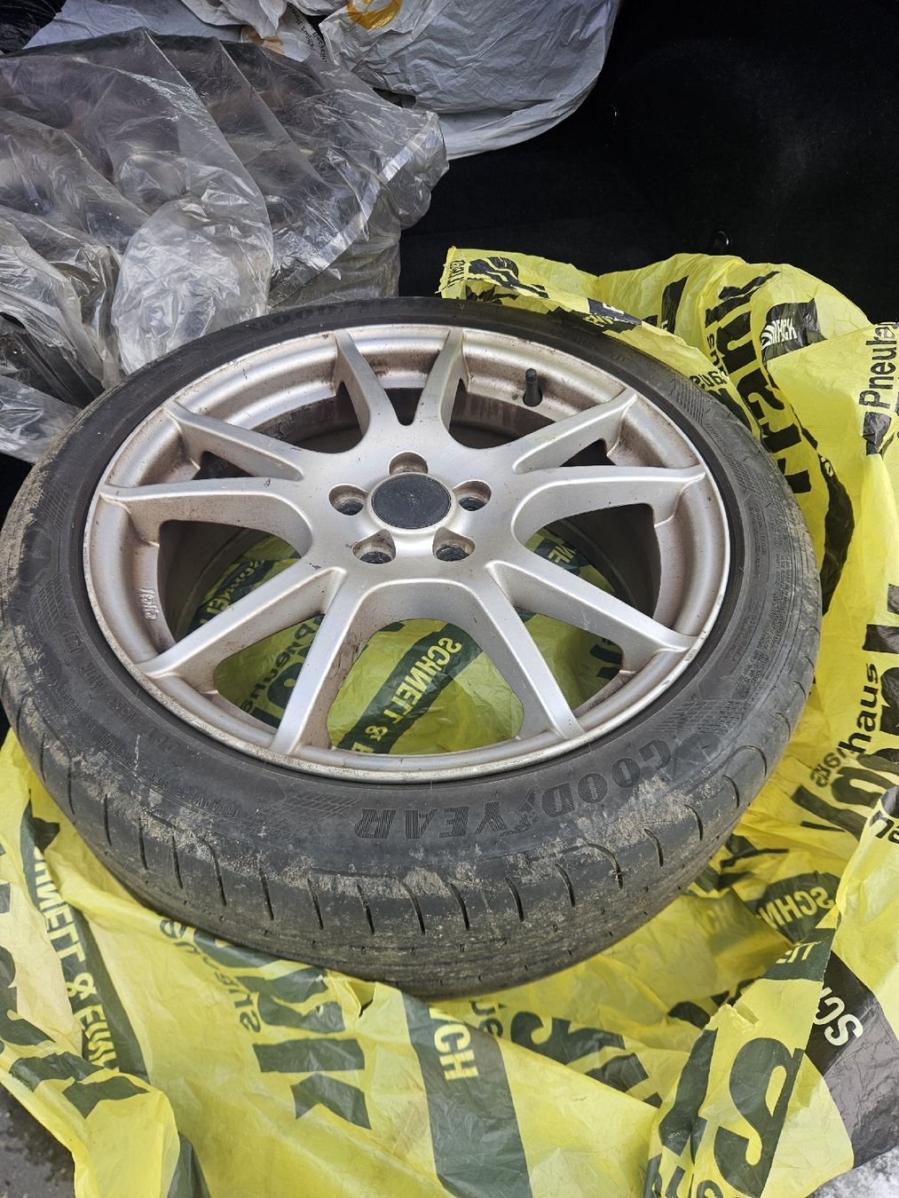 Subaru Automobili: Subaru Legacy – Usato da Schachen venduto da flamwer 6