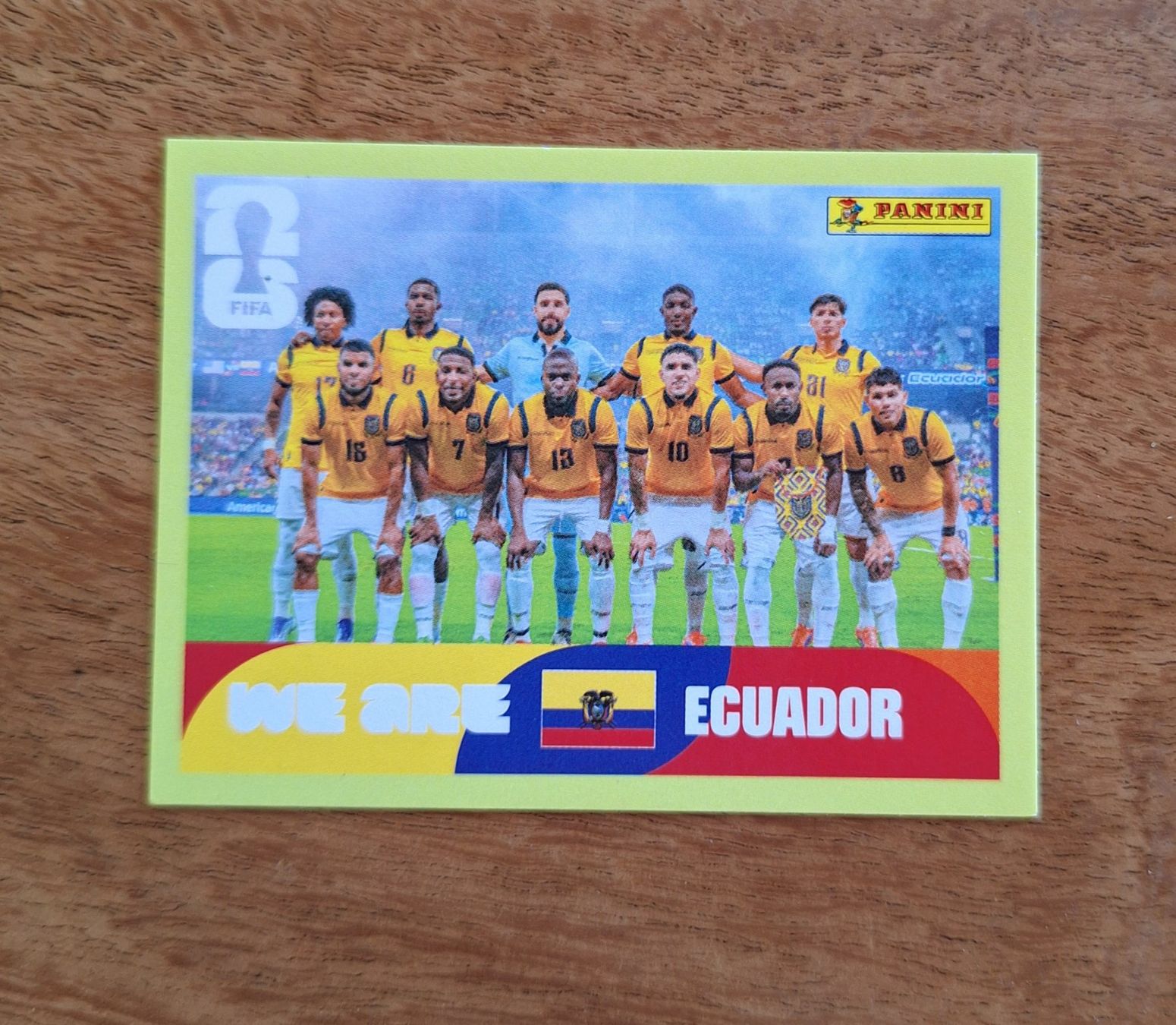 Panini Carte collezionabili: Panini ECUADOR ECU 13 – Nuovo (secondo la descrizione) da Romanens venduto da Crocette
