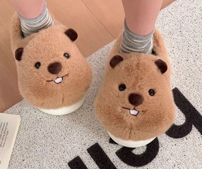 Scarpe da donna: Warme Capybara Hausschuhe – Nuovo e nell'imballaggio originale da Lausanne venduto da animalopolis