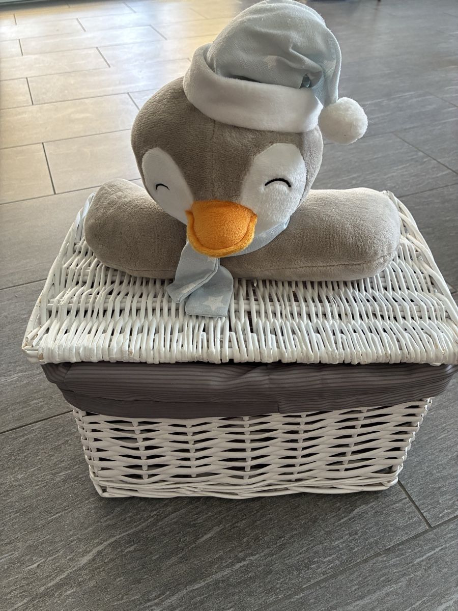 Altro per la casa: Korb mit Pinguin-Plüschtier – Usato da Muhen venduto da Sally203