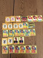 PANINI WM 2026 GRUPPE F TUN SWE JPN NED