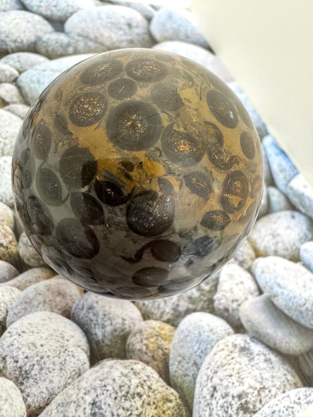 Pietre preziose: Kugel Leoparden-Jaspis – Nuovo (secondo la descrizione) da Biberist venduto da Steine