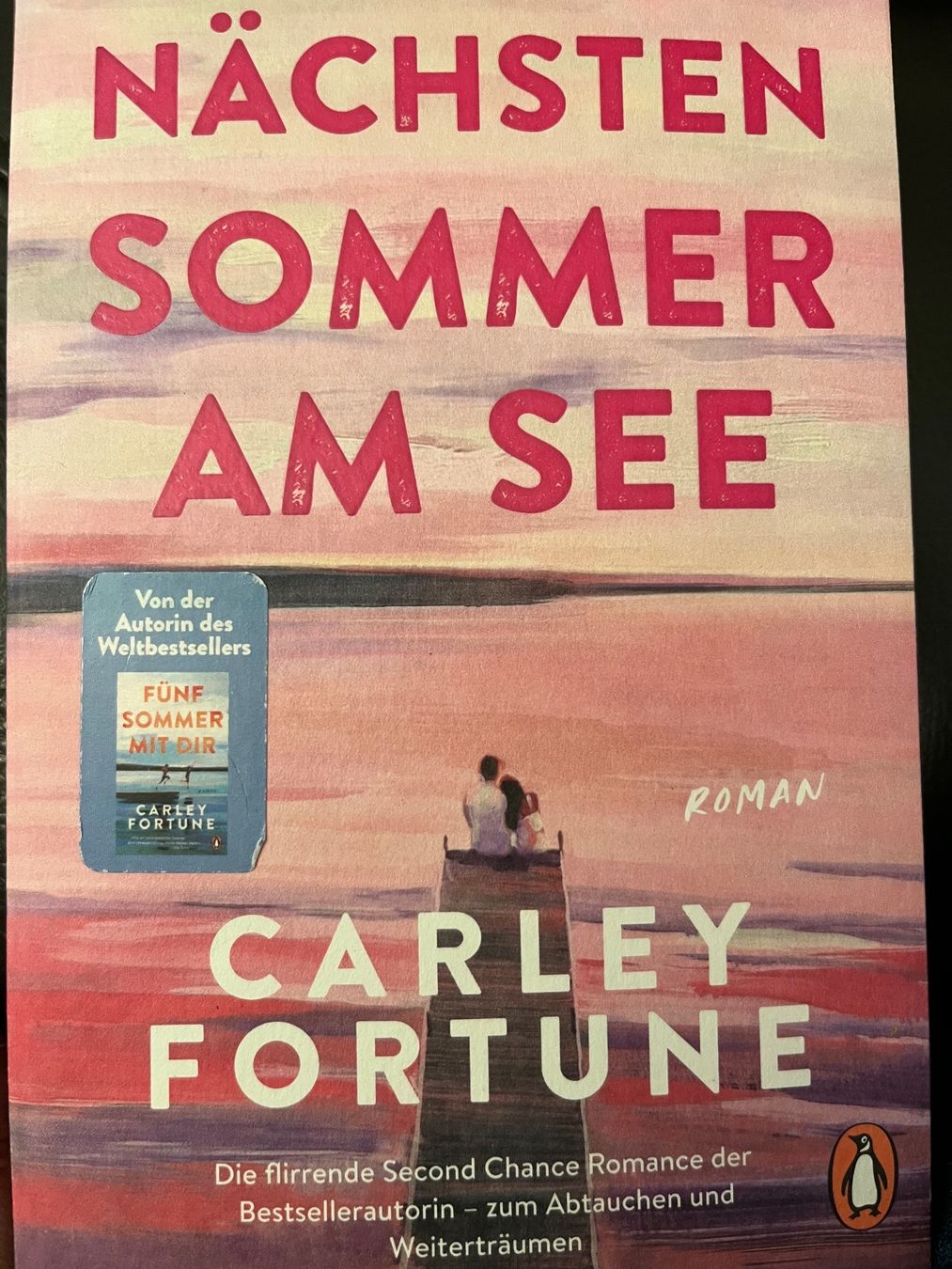 Bücher: Nächsten Sommer am See – Gebraucht aus Baar von evi_js59