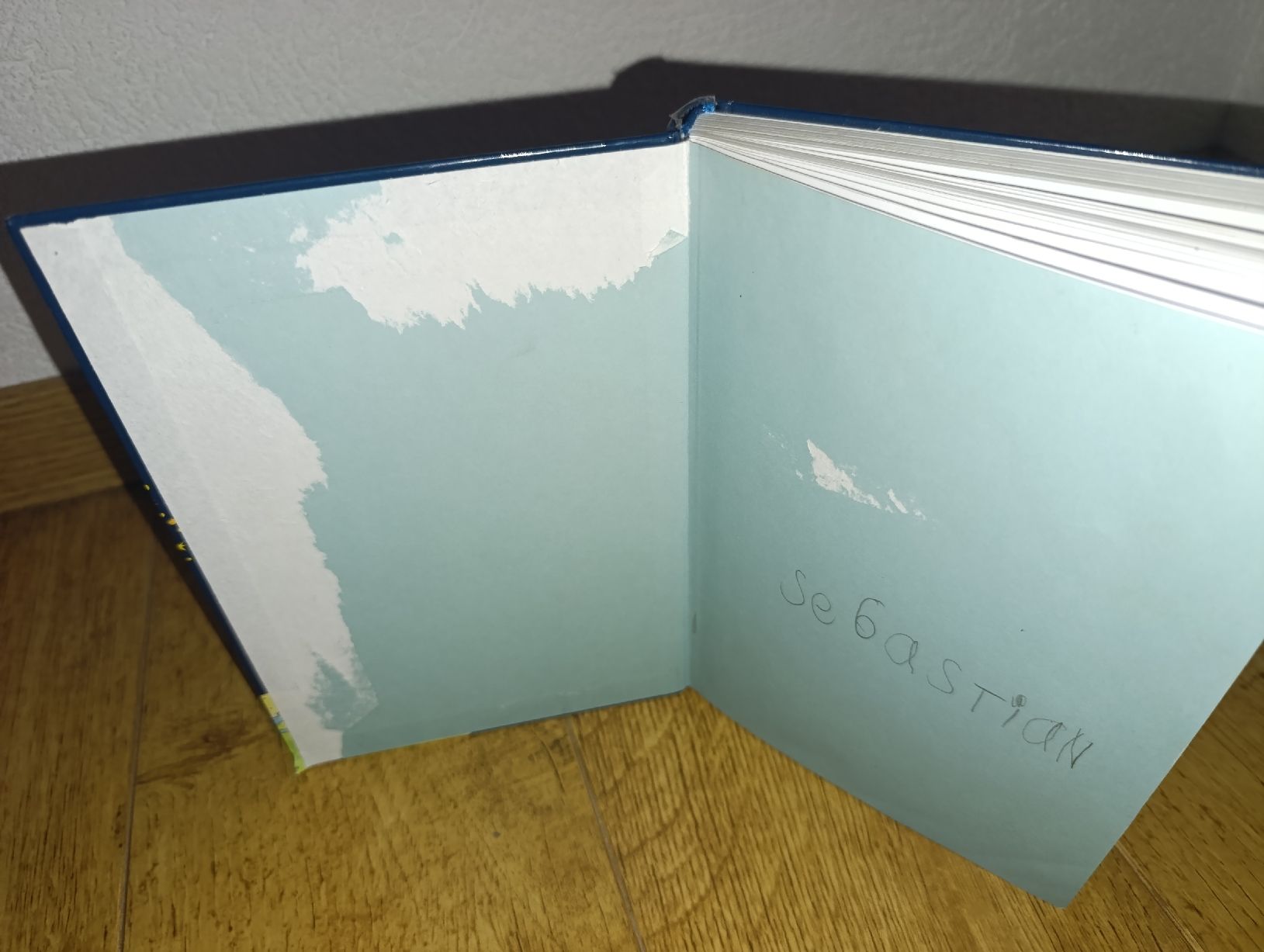 Libri: Gustav Gorky & Flätscher - 2 Kinderbücher – Usato da Büttikon AG venduto da spe_9c9w 6