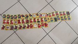 51 Panini WM 2026