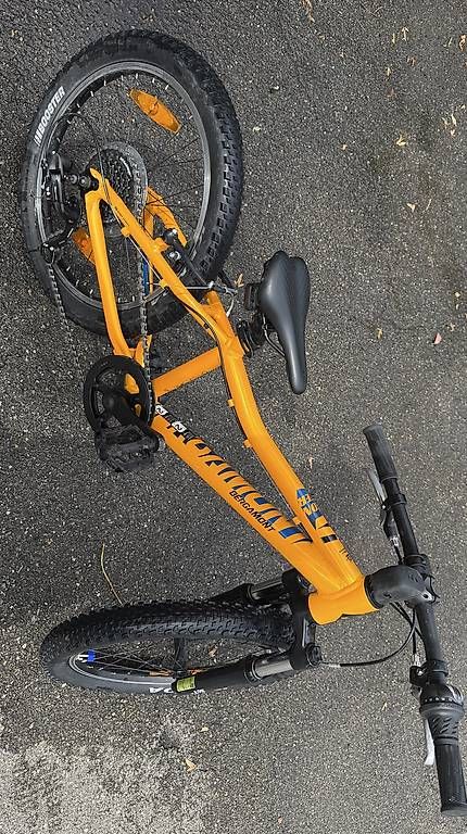 Biciclette: Bergamonster 20 Zoll Hardtail – Usato da Zürich venduto da Queenieman 2