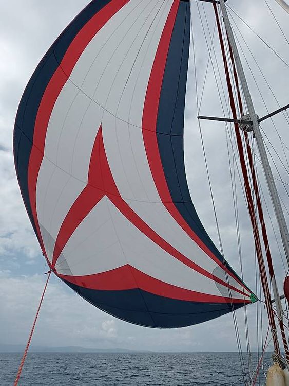 Segel Leicht Spinnaker ca 100m2 inkl Schoten (Gebraucht) in Humlikon ...