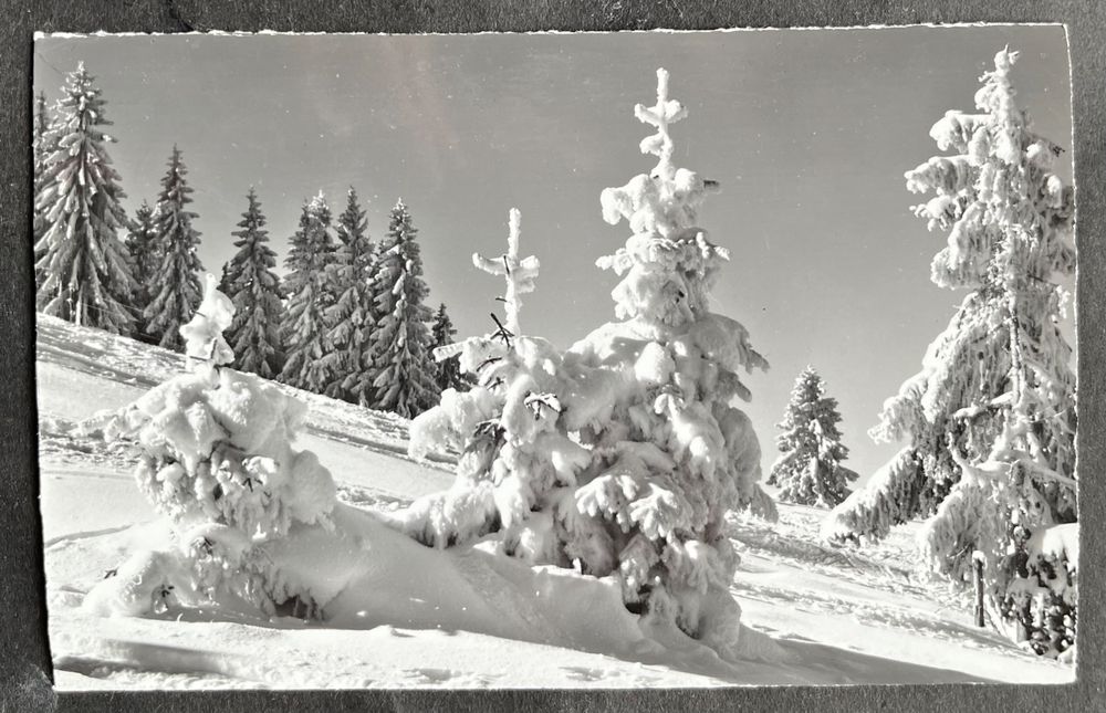 Schneetannen La belle forêt hivernale/ Photo Gyger Adelboden | Kaufen ...