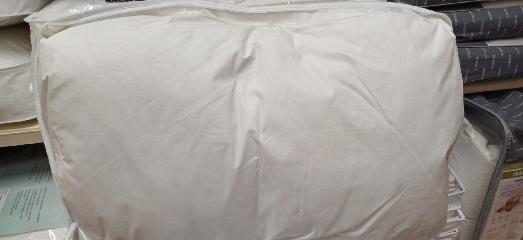 Cuscini: Coussin literie1350gr.bonne qualité – Nuovo e nell'imballaggio originale da Payerne venduto da jea_m6nb 8