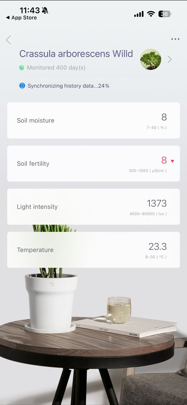 Messen: Pflanzensensor z.B. für Home Assistant – Gebraucht aus Zürich von muxamsonntag 6