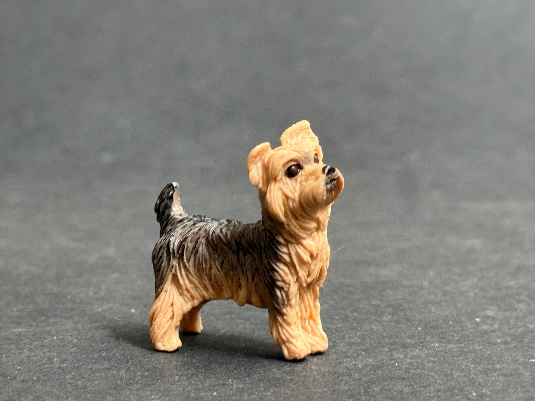 Schleich Statuette: Schleich 13876 Yorkshire Terrier Hund – Nuovo (secondo la descrizione) da Ennetbaden venduto da mapa05