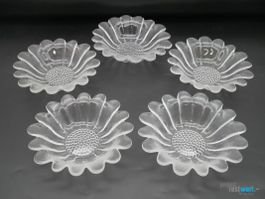 DARTINGTON CRYSTAL Kristallschalen Daisy 5er Set