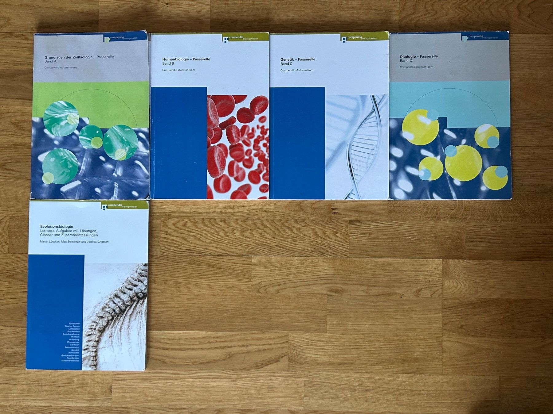 Bücher: Passerelle Bücher Gesamtpaket – Gebraucht aus Zürich von sem_fwb7 5