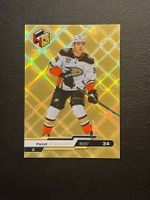Pavel Mintyukov 2023 Rookie Holo Gold Anaheim Ducks