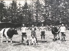 Landwirtschaft, Sennen, Stier, grosse Foto