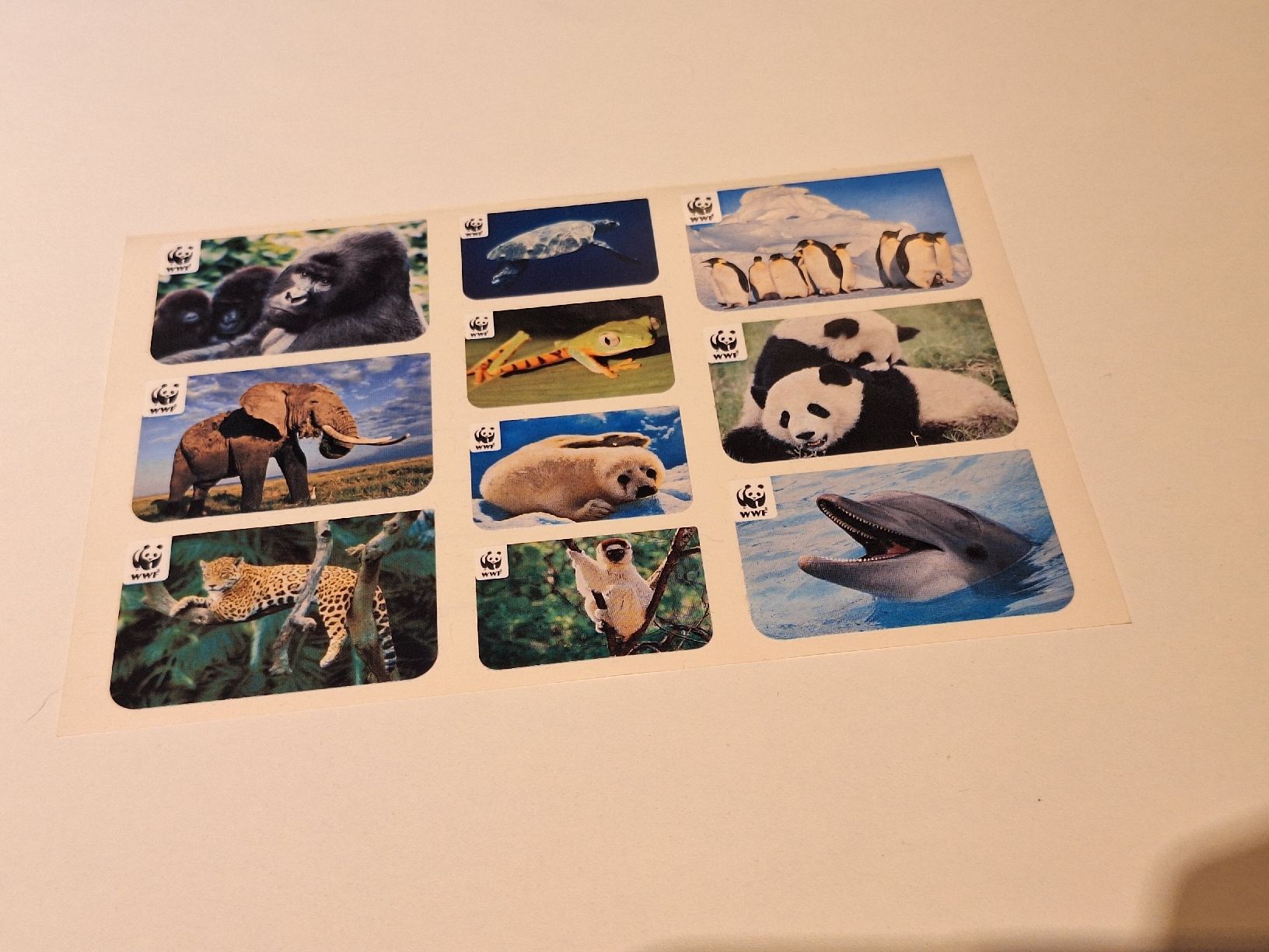 Sticker: WWF Sticker zum Aufkleben – Nuovo (secondo la descrizione) da Regensdorf venduto da Schmim