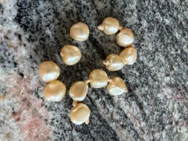 chute  perles de culture  grosses  12  perles d'eau douce.