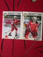 HC LAUSANNE EISHOCKEY SAMMELKARTEN SAISON 1993/94 ANTIK