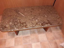 Salontisch Fossilien mit Holzunterbau