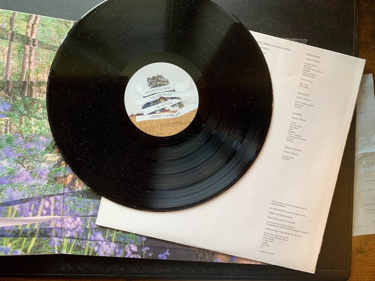 Dischi in vinile: Bibio ‎– Ribbons – Usato da Fribourg venduto da jimiJ13 3