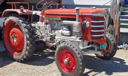 Traktor Hürlimann D70 SSP rot guter Zustand