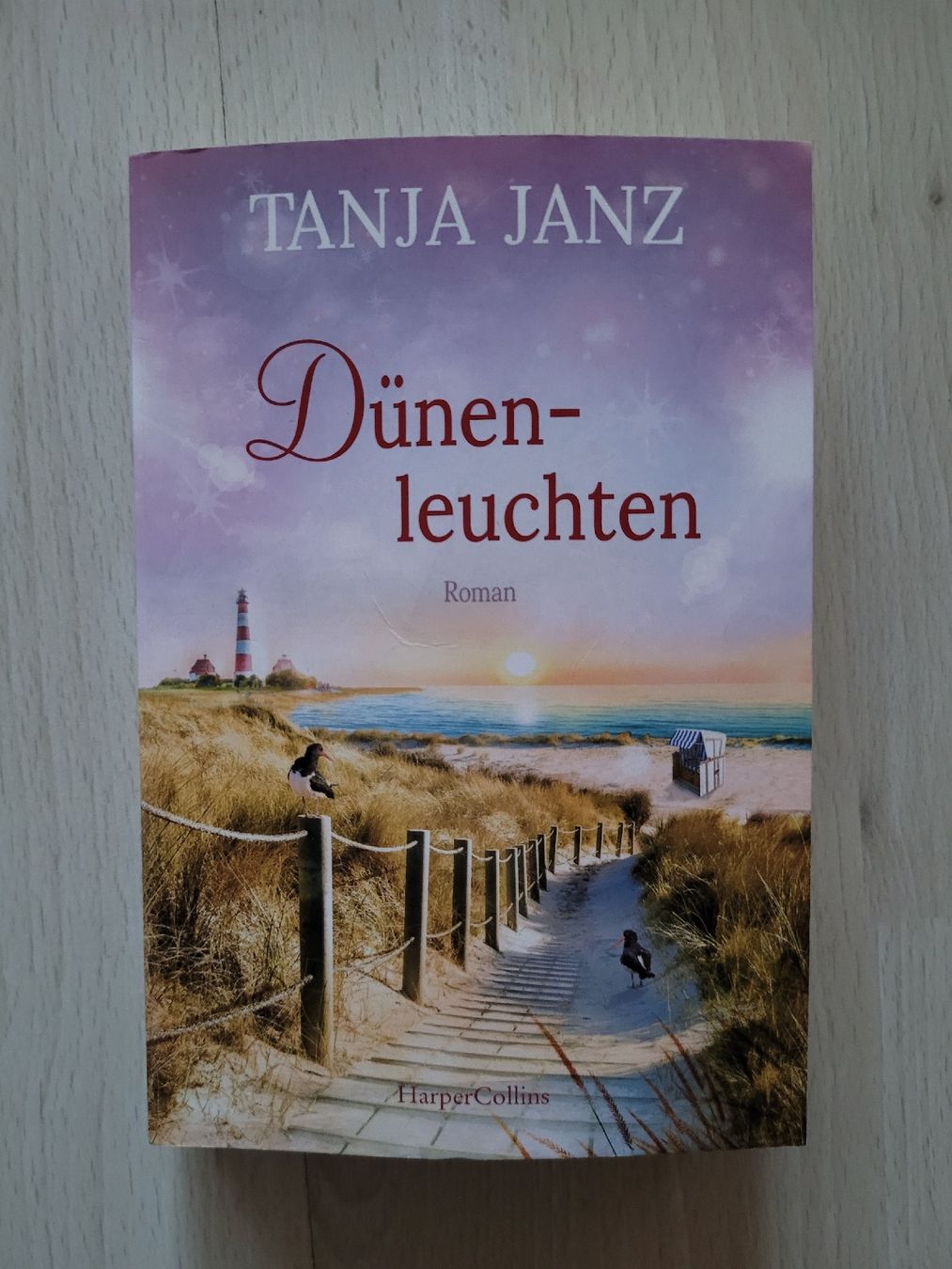 Libri: Dünenleuchten – Usato da Perlen venduto da Safari_23