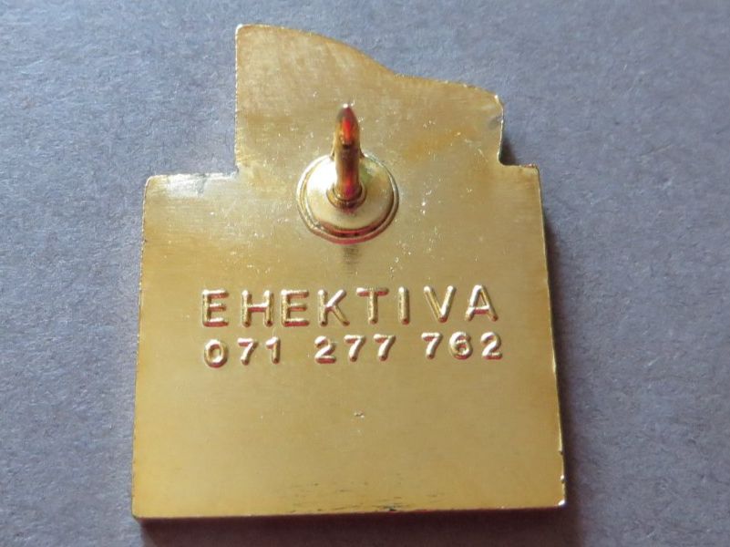Placchette & Badge: PIN, RESTAURANT RÜTLI USTER ZH, FLAGGE SCHWEIZ – Usato da Neuhausen venduto da luckimucki 1