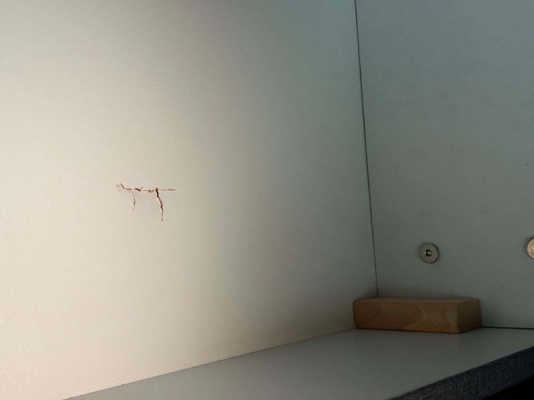 Letti: Boxspringbett 200 x 200 - Neuwertig – Usato da Adlikon b. Regensdorf venduto da ammadope 5