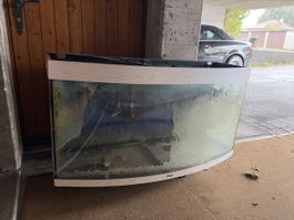 Juwel Vision 260
