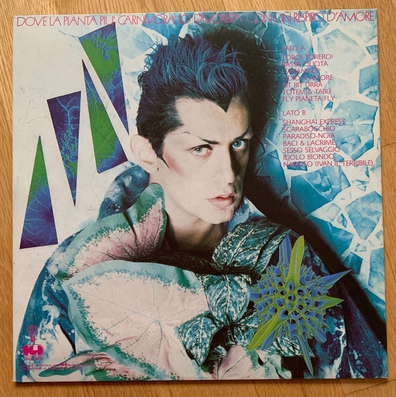 Dischi in vinile: IVAN CATTANEO / IVAN IL TERRIBILE – Usato da Sarnen venduto da m-basic 1