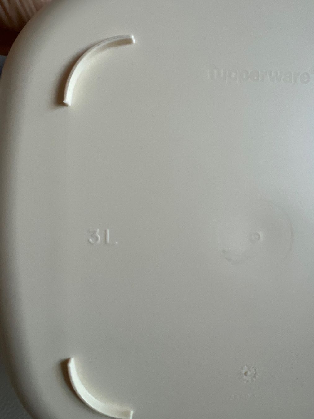 Tupperware Contenitori & Simili: Tupperware Salate oder Obst - Kühlschrankdose – Usato da Chur venduto da van_hnc6 4