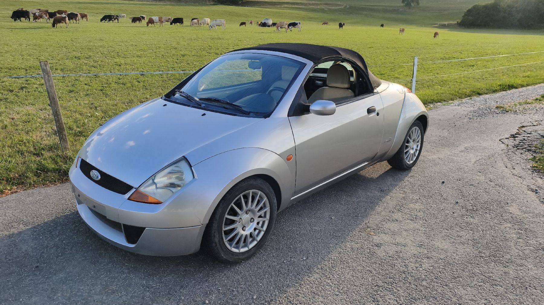 Ford Autos: Ford Street Ka – Gebraucht aus Tuttwil von ShelbyGT500KR 4