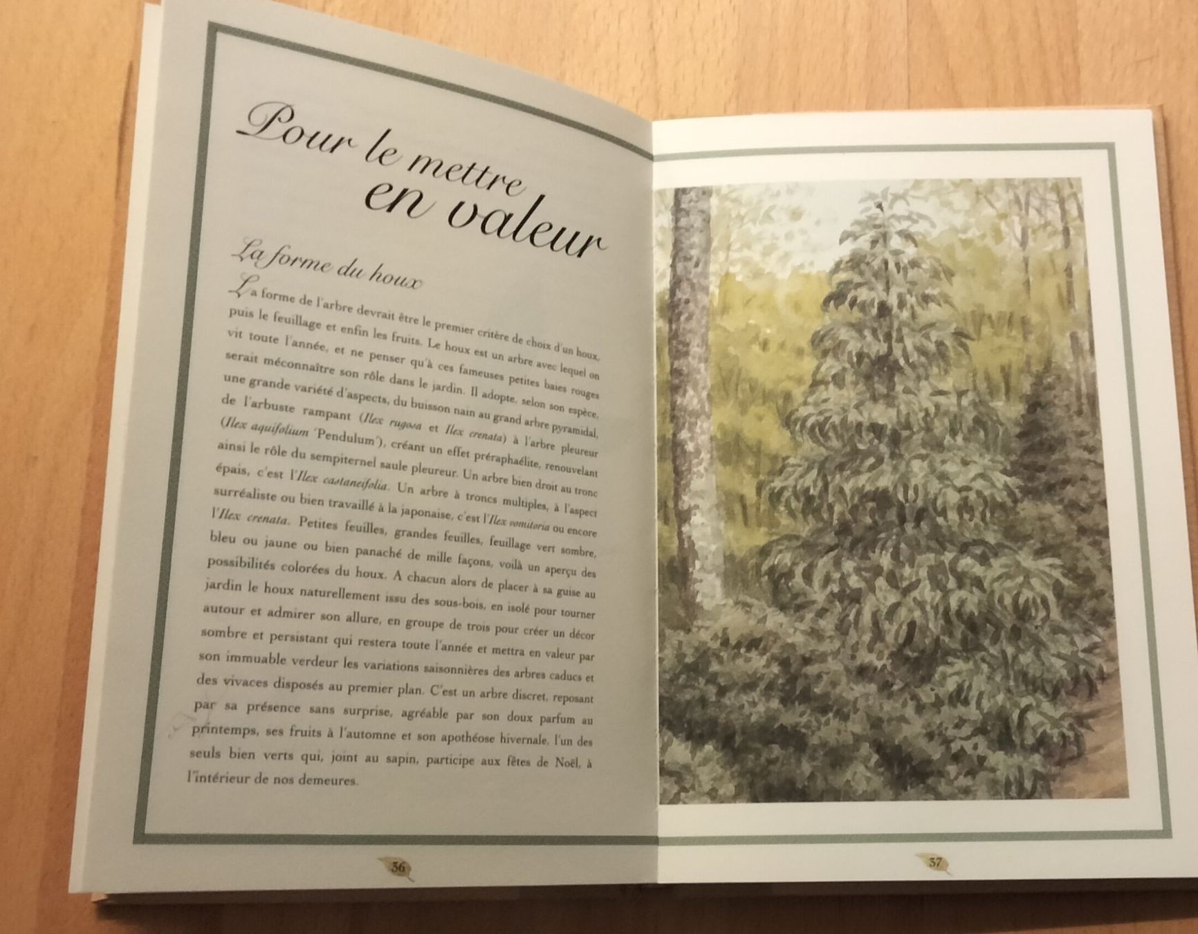 Bücher: "Houx - Les Carnets de Courson", neuwerti... – Neu (gemäss Beschreibung) aus Niederglatt ZH von Siegfried67 7