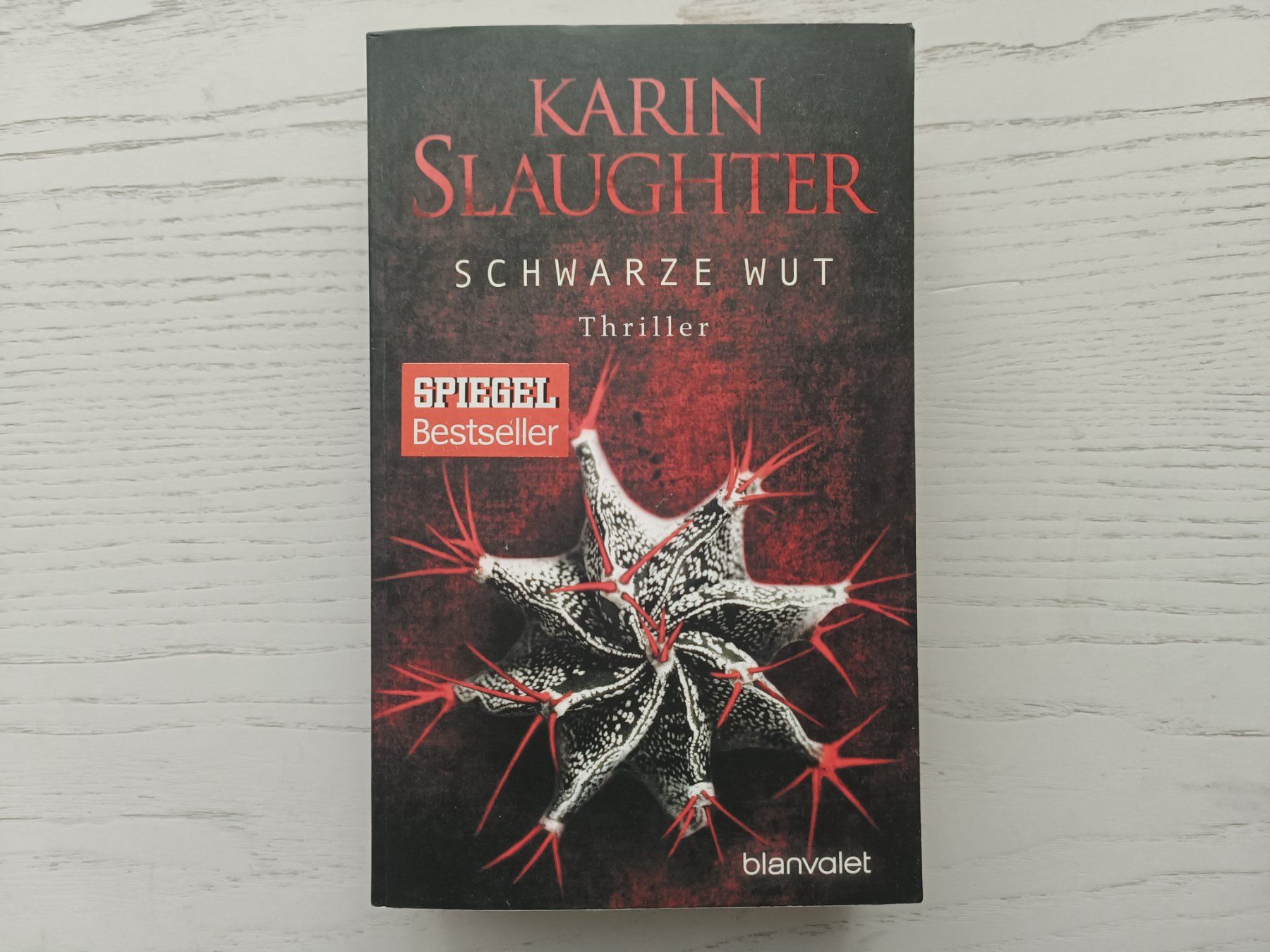 Libri: Krimi und Thriller Packet – Usato da Dübendorf venduto da goeggi79 4