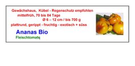Ananas Bio - Fleischtomate - 1 Tomatensetzling