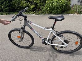 Wheeler Vicida Mountainbike