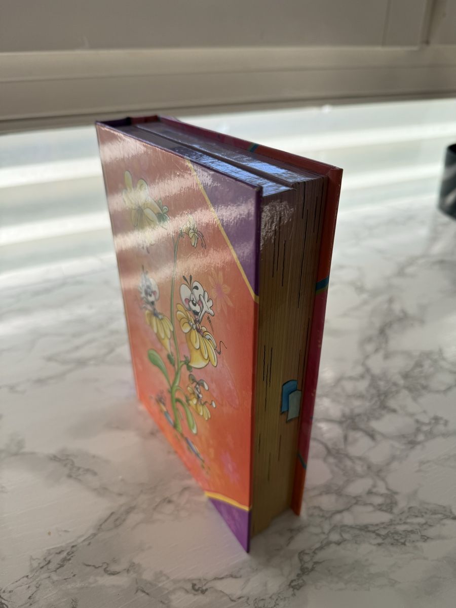 Autres accessoires: Boîtes à trésors "Diddl" pour rangement – Neuf (Voir description) à Châtelaine par nan_j75j 3